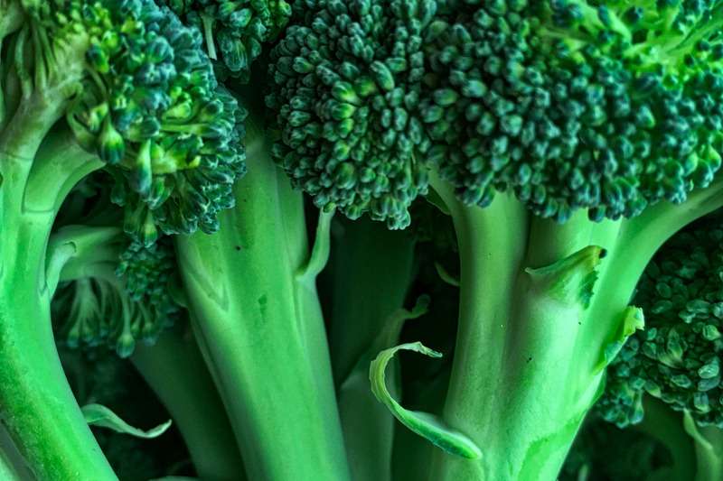 Extrakt ze semen brokolice Extrakt ze semen brokolice 